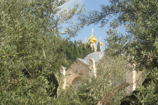 Image d'une chapelle dans la végétation, issue du pèlerinage en Israël.